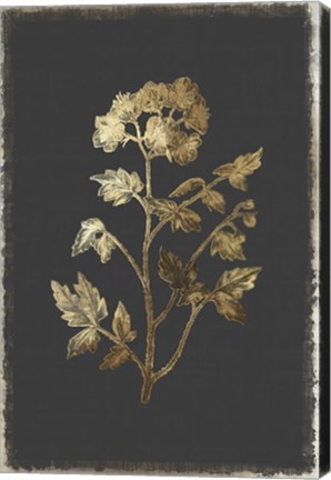 Framed Botanical Gold on Black II Print