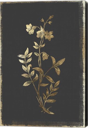 Framed Botanical Gold on Black IV Print