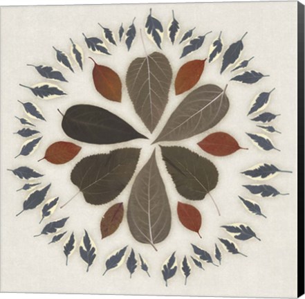 Framed Leaf Pattern II Print