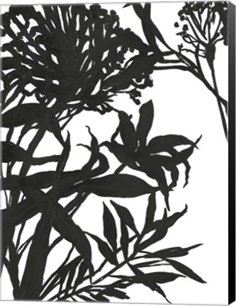 Framed Monochrome Foliage I Print