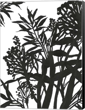 Framed Monochrome Foliage II Print