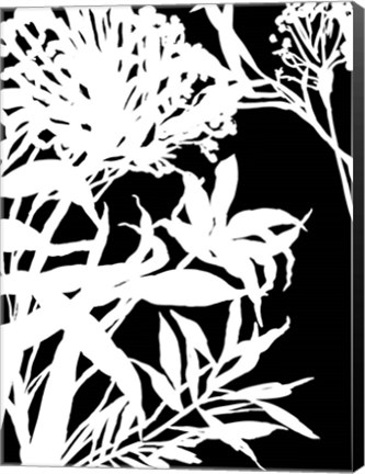 Framed Monochrome Foliage III Print