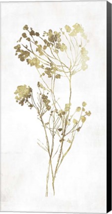 Framed Gold Botanical II Print