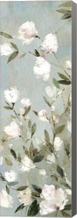 Framed Magnolias II Print