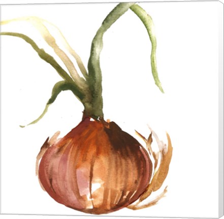 Framed Onion Print