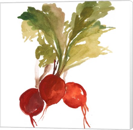 Framed Radish Print