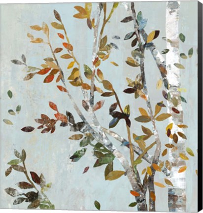 Framed Birch with Leaves II Print