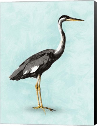 Framed Seashore Bird I Print