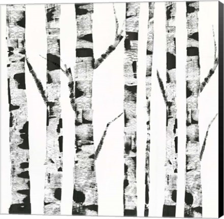 Framed White Birch Print