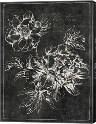 Framed Black Botanical I Print