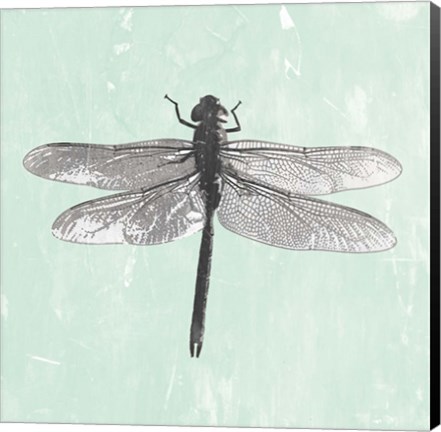 Framed Dragonfly II Print