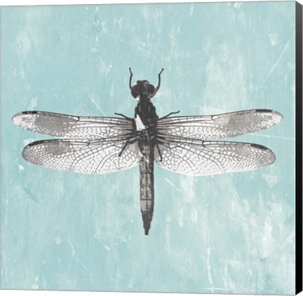 Framed Dragonfly III Print