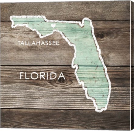 Framed Florida Rustic Map Print