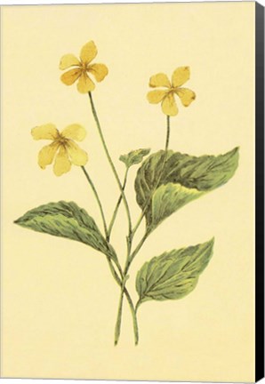 Framed Yellow Violet Print