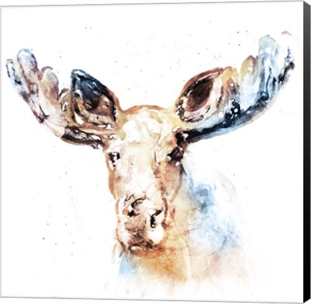 Framed Watercolour Moose Print