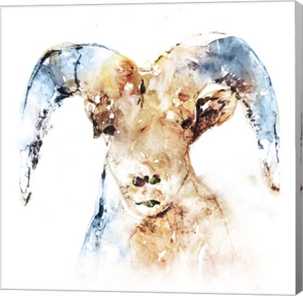 Framed Watercolour Ram Print