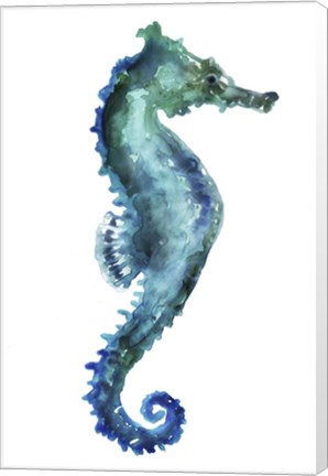 Framed Sea Horse Print