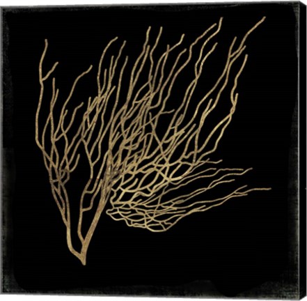 Framed Gold Coral I Print