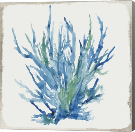 Framed Blue and Green Coral II Print