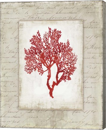 Framed Red Coral II Border Print