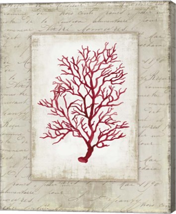 Framed Red Coral III Border Print