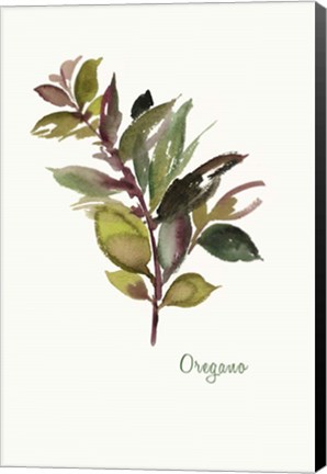 Framed Oregano Print