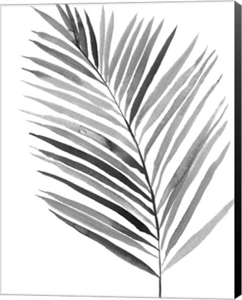 Framed BW Palm IV Print