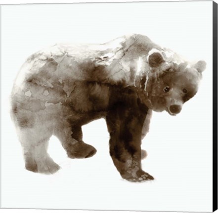 Framed Bear Print