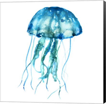 Framed Jellyfish Print