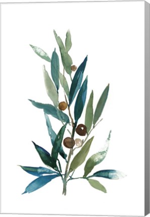 Framed Olive Branch I Print