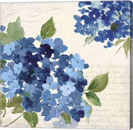 Framed Hampton Hydrangea I Print