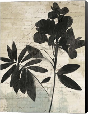 Framed Inky Floral II Print