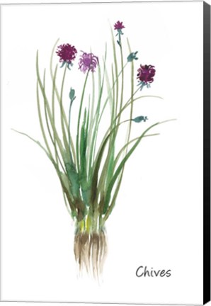 Framed Chives Print