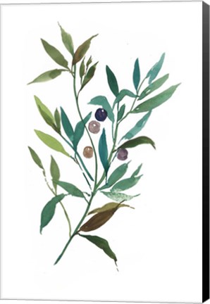 Framed Olive I Print