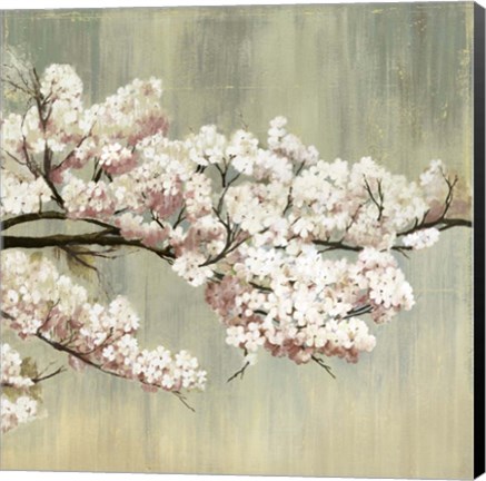 Framed Blossoms Print