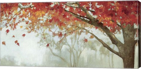 Framed Fall Canopy II Print