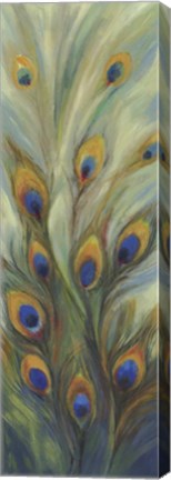 Framed Peacock Tale Print