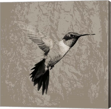 Framed Feathered I Print