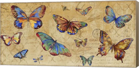 Framed Butterflies in Flight Print