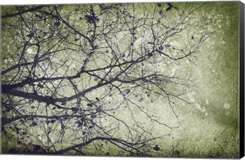 Framed Atmospheric II Print