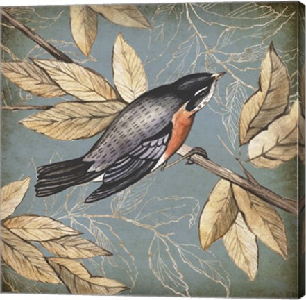Framed Songbird Fable I Print