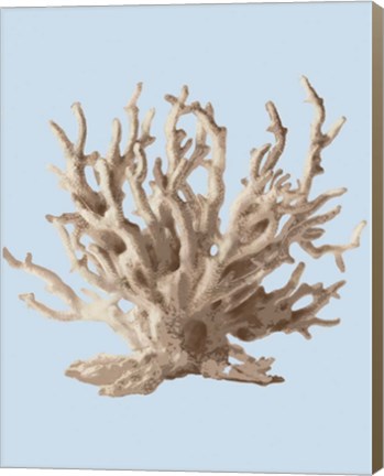 Framed Coral II Print