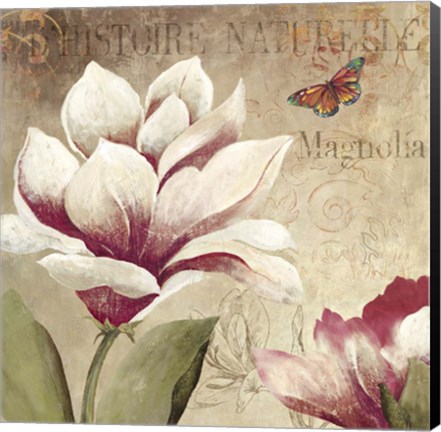 Framed Magnolia Print