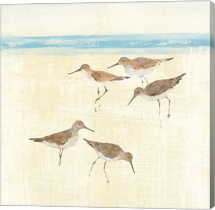 Framed Sandpipers Square II Blue Print