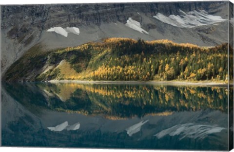 Framed Floe Lake Print