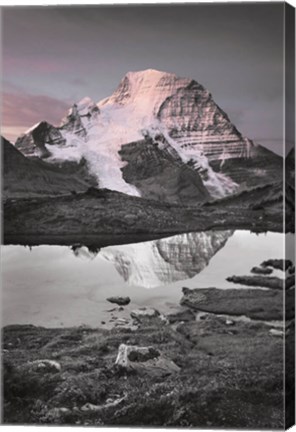 Framed Mount Robson BW with Color Print