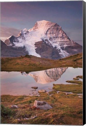 Framed Mount Robson Print