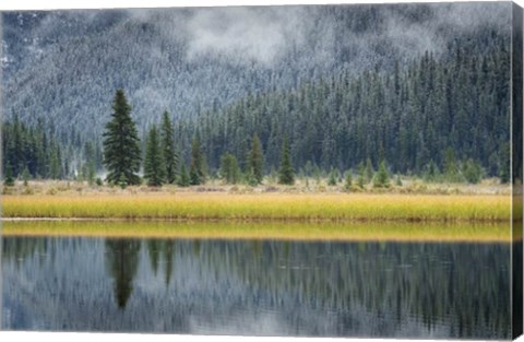 Framed Waterfowl Lake II Print