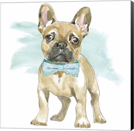 Framed Glamour Pups XI Print