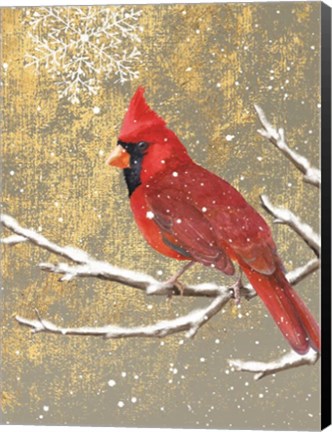 Framed Winter Birds Cardinal Color Print